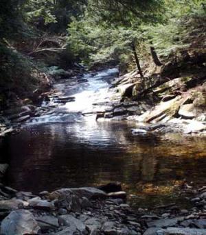 Ravine